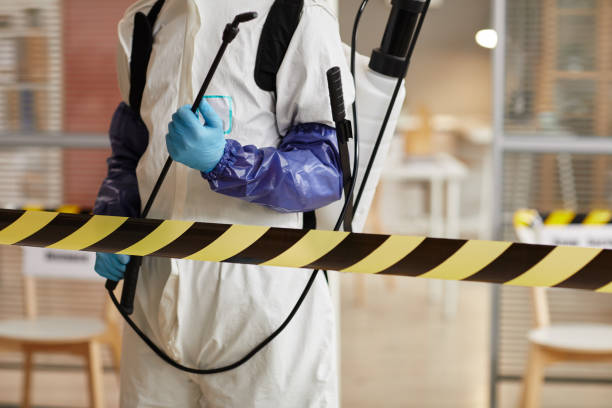 Professional Sewage Cleanup technician working in Magnolia, IA